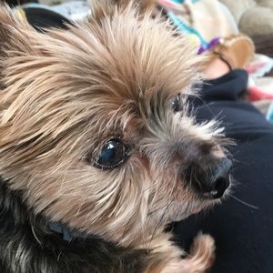 Meet your Posher, Kasey